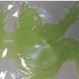 decoracion fantasma fluor x3