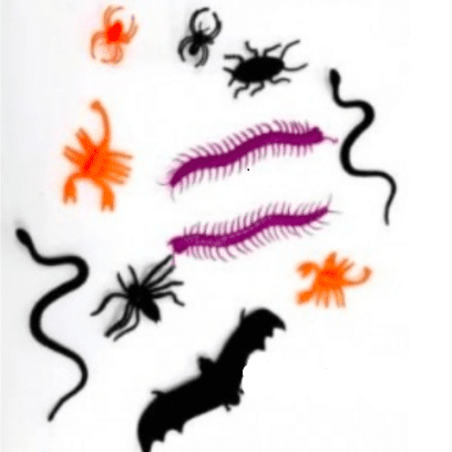 insectos x24