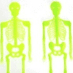 decoracion esqueleto fluor x2 